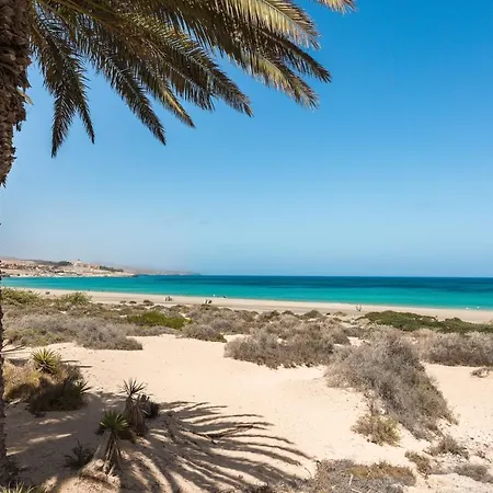 Home2book Stunning Center Corralejo